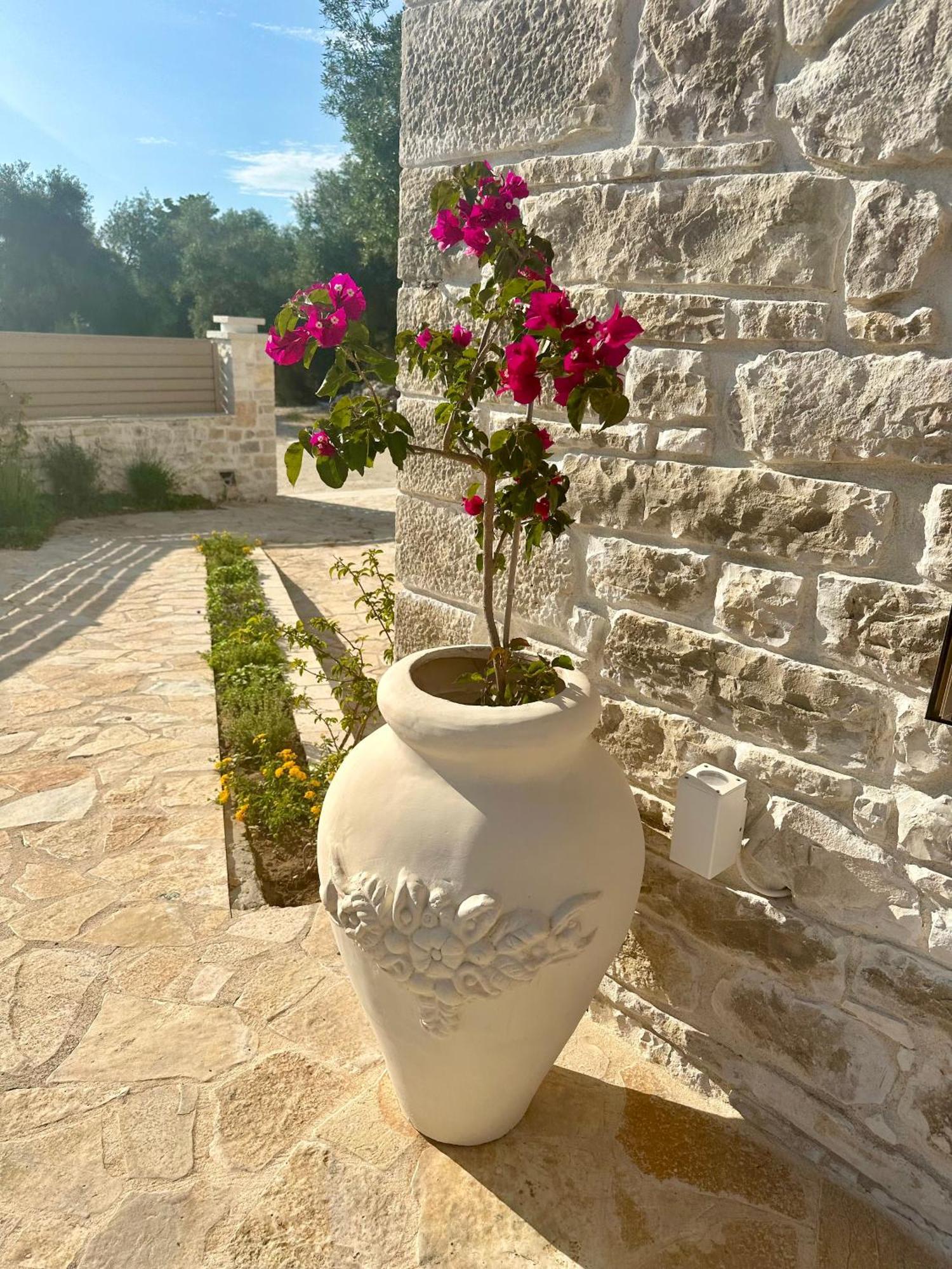 Nikolas Villa Ozias